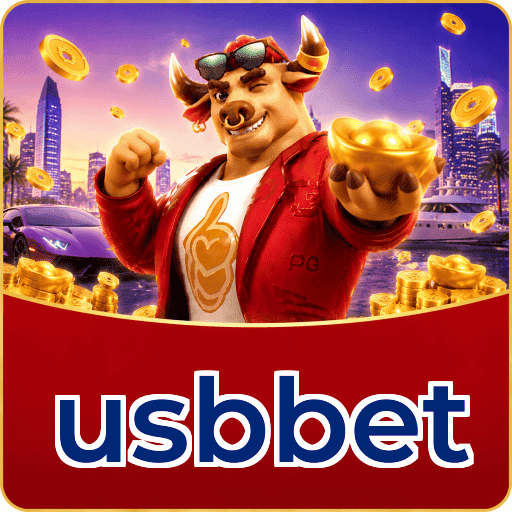 usbbet Instalar Logo 3